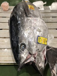 豊洲のマグロ屋さん(弊社鉾田市購入のお客様)