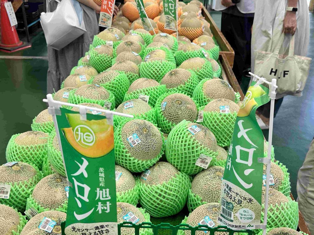 鉾田のメロン